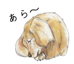 Riku of the miniature dachshund. sticker #6747734