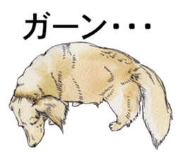 Riku of the miniature dachshund. sticker #6747746