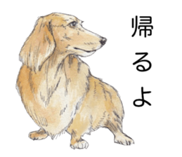 Riku of the miniature dachshund. sticker #6747747