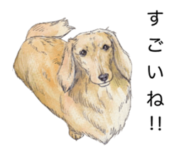 Riku of the miniature dachshund. sticker #6747752
