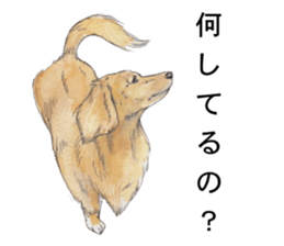 Riku of the miniature dachshund. sticker #6747757