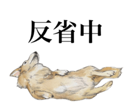 Riku of the miniature dachshund. sticker #6747758