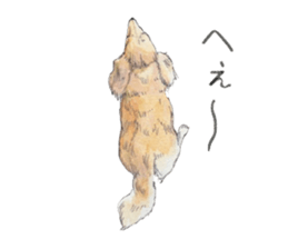 Riku of the miniature dachshund. sticker #6747761