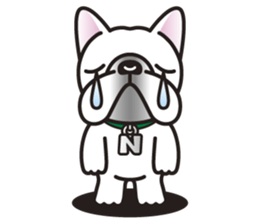 NOOY the French Bulldog sticker #6748453