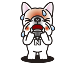 NOOY the French Bulldog sticker #6748455