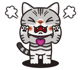 AMERI the American Shorthair Cat sticker #6748572