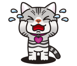 AMERI the American Shorthair Cat sticker #6748573