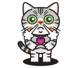 AMERI the American Shorthair Cat sticker #6748574