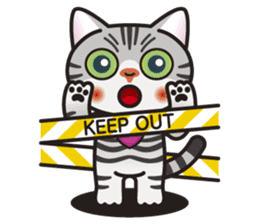 AMERI the American Shorthair Cat sticker #6748577