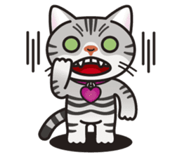 AMERI the American Shorthair Cat sticker #6748580