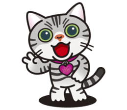 AMERI the American Shorthair Cat sticker #6748582