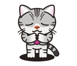 AMERI the American Shorthair Cat sticker #6748583