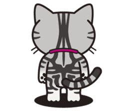 AMERI the American Shorthair Cat sticker #6748589