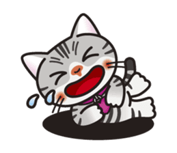 AMERI the American Shorthair Cat sticker #6748590