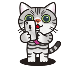 AMERI the American Shorthair Cat sticker #6748591