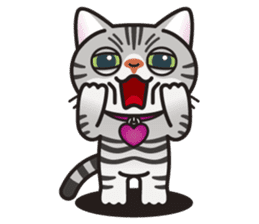 AMERI the American Shorthair Cat sticker #6748592
