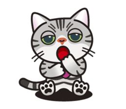 AMERI the American Shorthair Cat sticker #6748598