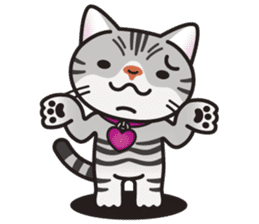 AMERI the American Shorthair Cat sticker #6748599