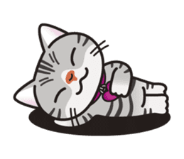 AMERI the American Shorthair Cat sticker #6748602