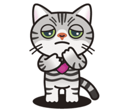 AMERI the American Shorthair Cat sticker #6748603