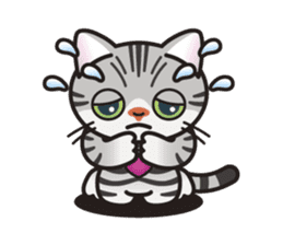 AMERI the American Shorthair Cat sticker #6748607