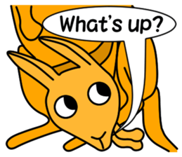 JIN-JIN Kangaroo Life (2nd) sticker #6749453