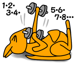 JIN-JIN Kangaroo Life (2nd) sticker #6749467