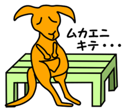 JIN-JIN Kangaroo Life (2nd) sticker #6749493