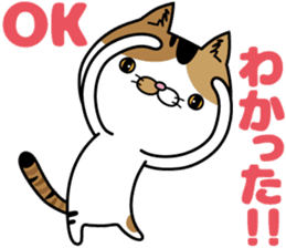 Calico cat Mikan-chan sticker #6750369