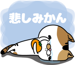 Calico cat Mikan-chan sticker #6750375