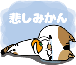 Calico cat Mikan-chan sticker #6750375
