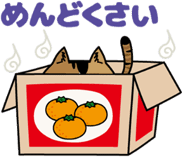 Calico cat Mikan-chan sticker #6750376