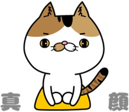 Calico cat Mikan-chan sticker #6750392