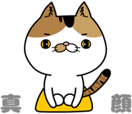 Calico cat Mikan-chan sticker #6750392