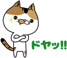Calico cat Mikan-chan sticker #6750393