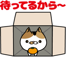 Calico cat Mikan-chan sticker #6750405