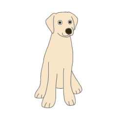 Labrador Retrievers' cute expressions