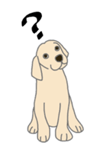 Labrador Retrievers' cute expressions sticker #6750808