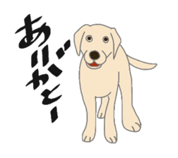 Labrador Retrievers' cute expressions sticker #6750810