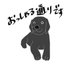 Labrador Retrievers' cute expressions sticker #6750811