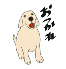 Labrador Retrievers' cute expressions sticker #6750813