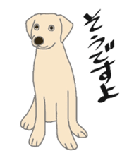 Labrador Retrievers' cute expressions sticker #6750814