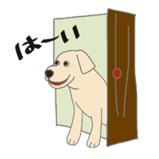 Labrador Retrievers' cute expressions sticker #6750815