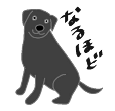 Labrador Retrievers' cute expressions sticker #6750818