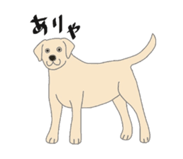 Labrador Retrievers' cute expressions sticker #6750819