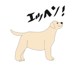 Labrador Retrievers' cute expressions sticker #6750820