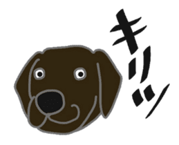 Labrador Retrievers' cute expressions sticker #6750821