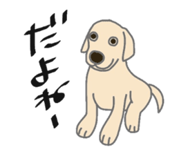 Labrador Retrievers' cute expressions sticker #6750822