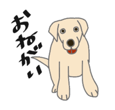 Labrador Retrievers' cute expressions sticker #6750824