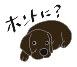 Labrador Retrievers' cute expressions sticker #6750825